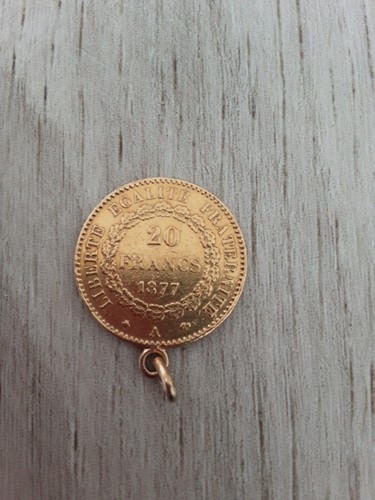 Francs génie 1877 a - 20,